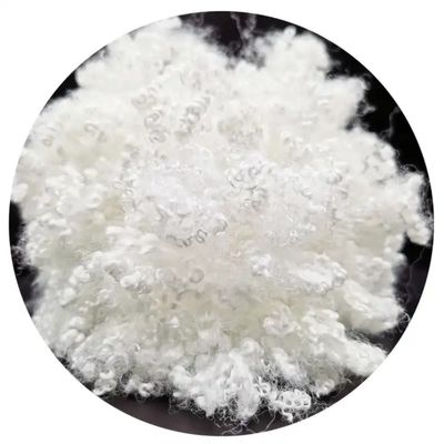 Staple Fiber Type Hollow Style Recycled Polyester for Spinning Production Line