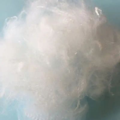 Staple Fiber Type Hollow Style Recycled Polyester for Spinning Production Line