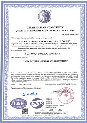 100%Cationic Polyester NE30/2 TFO Spun Yarn Raw Pattern Strength 25 Raw