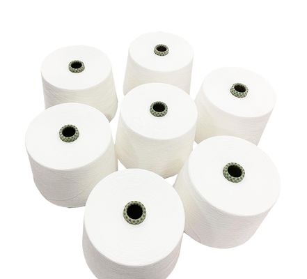 RW 100% Lyocell Blended Ring Spun Siro Compact Yarn for Weaving / Knitting Raw