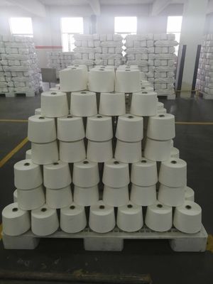 Rayon/Polyester TR 65/35 Ne28/1 Ring Spun Yarn for Weaving Durable and Versatile