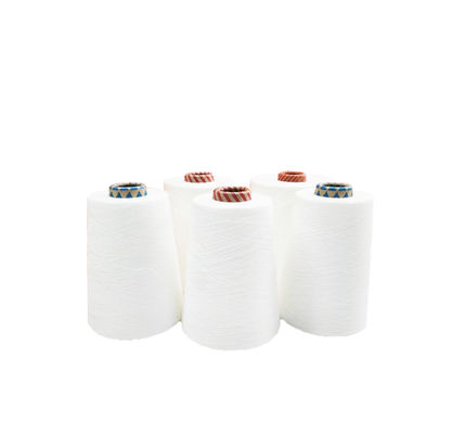Soft Feeling Raw Polyester Modal blended Ring Spun Siro compact Yarn for Knitting/Weaving 789TPM